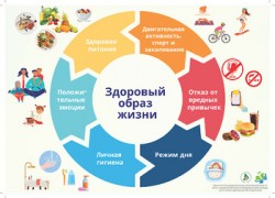 Афиша